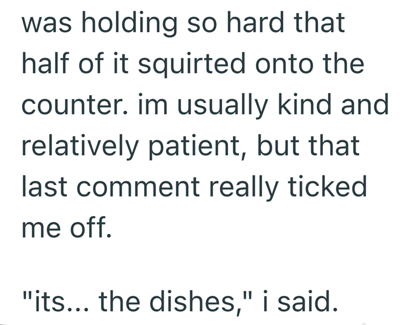 was holding so hard that half of it squirted onto the counter. im usually kind and relatively patient, but that last comment really ticked me off. "its... the dishes," i said.