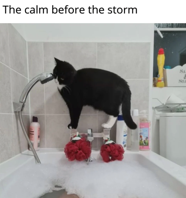 The calm before the storm SA SON