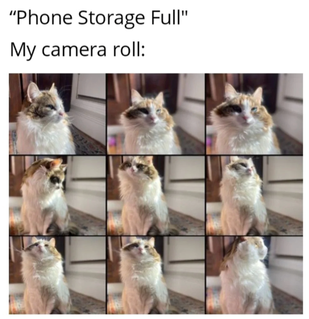 "Phone Storage Full" My camera roll: