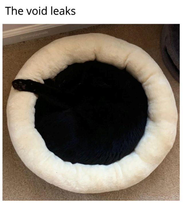 The void leaks @catsinplaymode