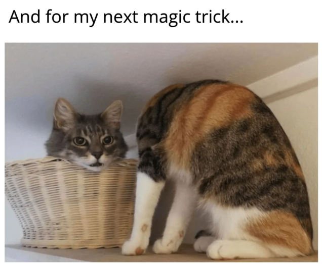 And for my next magic trick...