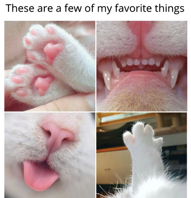 These are a few of my favorite things