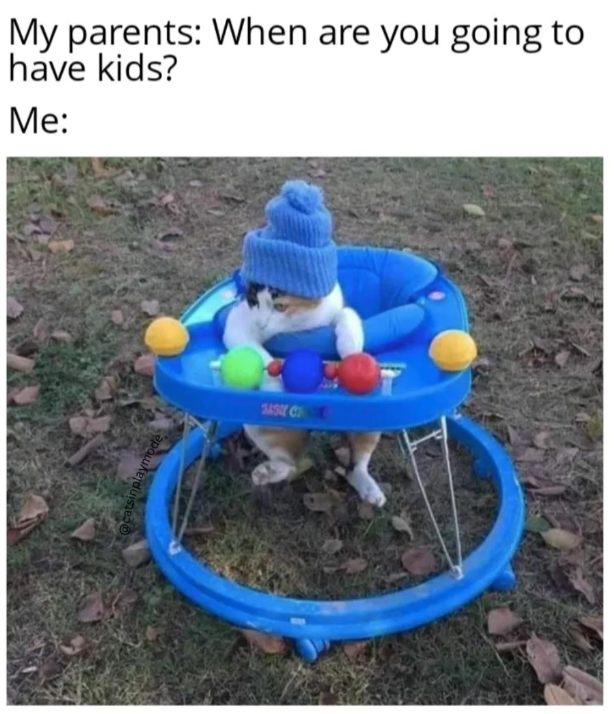 My parents: When are you going to have kids? Me: @catsinplaymode 3454 C