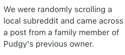 We were randomly scrolling a local subreddit and came across a post from a family member of Pudgy's previous owner.