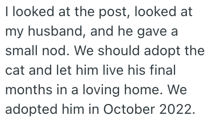 I looked at the post, looked at my husband, and he gave a small nod. We should adopt the cat and let him live his final months in a loving home. We adopted him in October 2022.