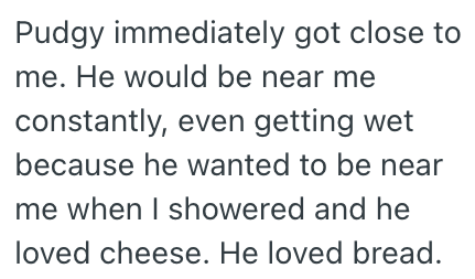 Pudgy immediately got close to me. He would be near me constantly, even getting wet because he wanted to be near me when I showered and he loved cheese. He loved bread.