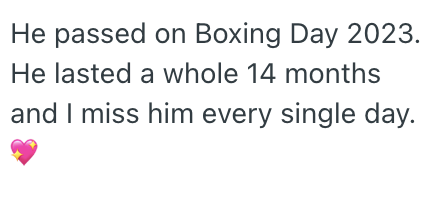 He passed on Boxing Day 2023. He lasted a whole 14 months and I miss him every single day.