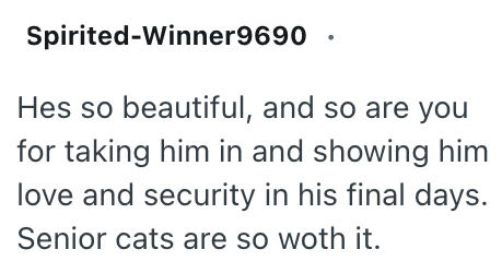 Spirited-Winner9690 Hes so beautiful, and so are you for taking him in and showing him love and security in his final days. Senior cats are so woth it.