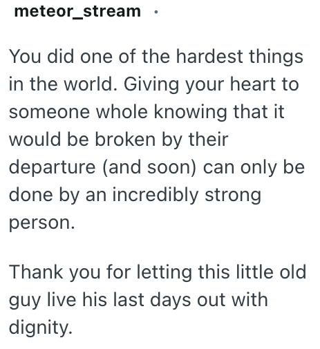 meteor_stream You did one of the hardest things in the world. Giving your heart to someone whole knowing that it would be broken by their departure (and soon) can only be done by an incredibly strong person. Thank you for letting this little old guy live his last days out with dignity.