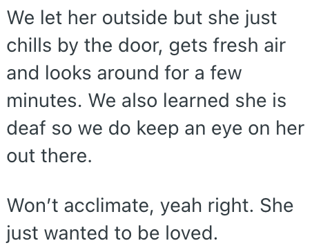 We let her outside but she just chills by the door, gets fresh air and looks around for a few minutes. We also learned she is deaf so we do keep an eye on her out there. Won't acclimate, yeah right. She just wanted to be loved.