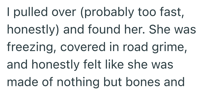 I pulled over (probably too fast, honestly) and found her. She was freezing, covered in road grime, and honestly felt like she was made of nothing but bones and