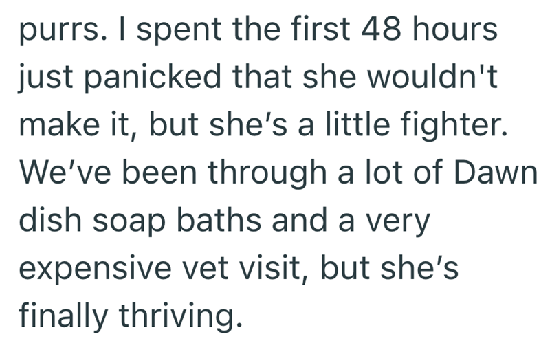 purrs. I spent the first 48 hours just panicked that she wouldn't make it, but she's a little fighter. We've been through a lot of Dawn dish soap baths and a very expensive vet visit, but she's finally thriving.