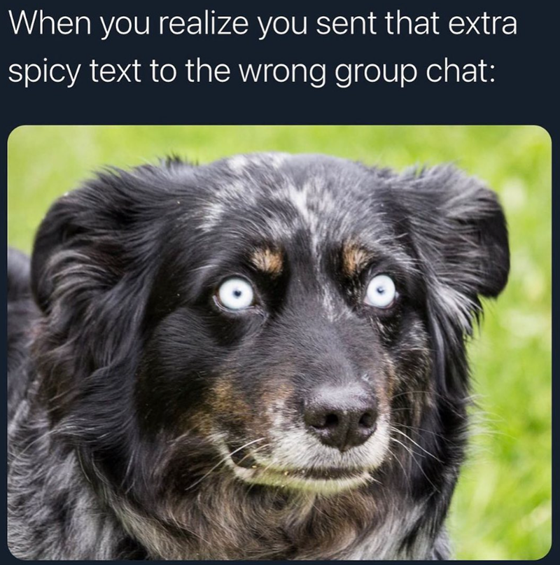 When you realize you sent that extra spicy text to the wrong group chat: