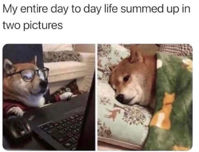 My entire day to day life summed up in two pictures