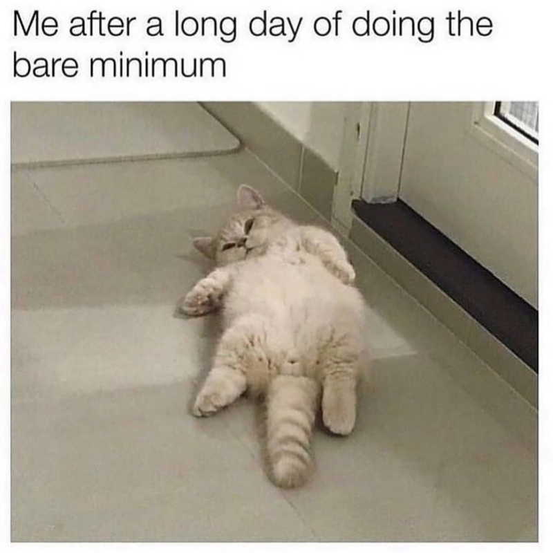 Me after a long day of doing the bare minimum