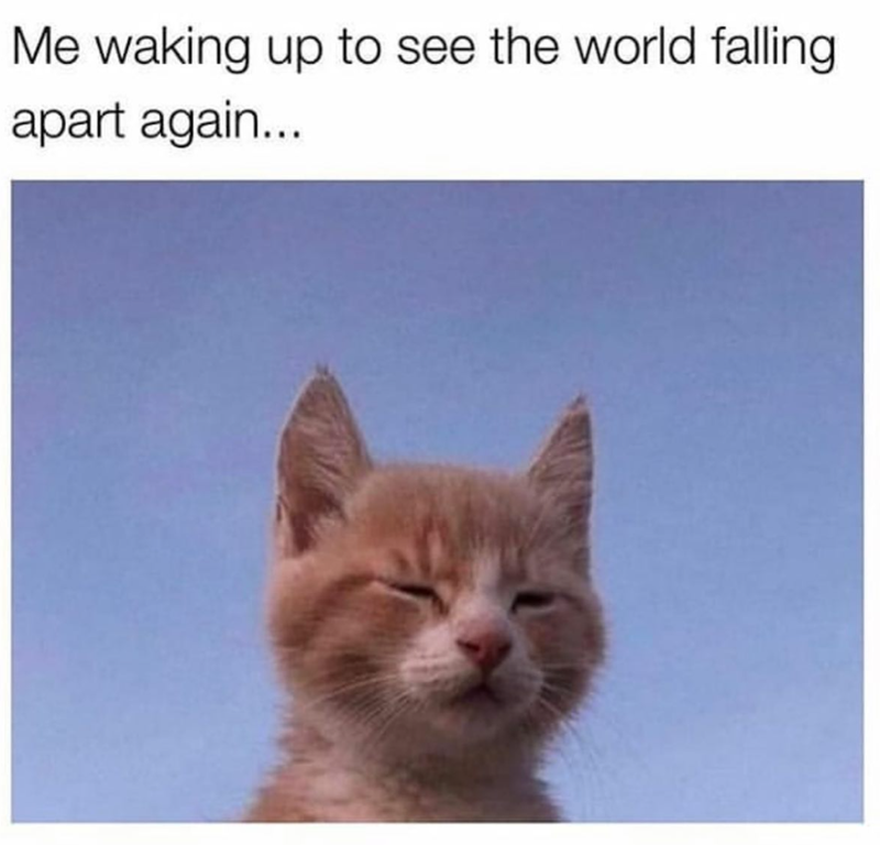 Me waking up to see the world falling apart again...