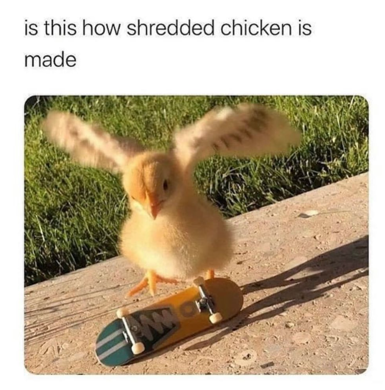 is this how shredded chicken is made