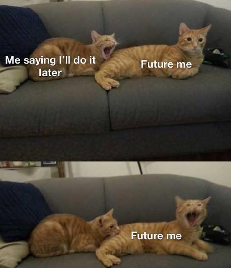 Me saying I'll do it Future me later Future me