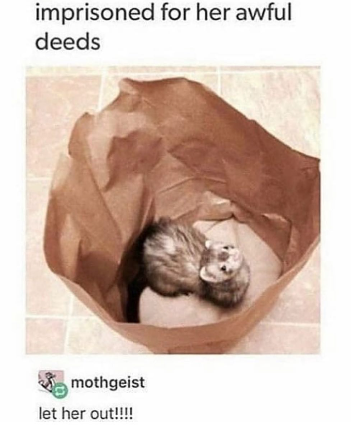 imprisoned for her awful deeds mothgeist let her out!!!!