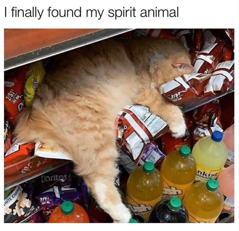 HITE CHEDG I finally found my spirit animal 2/$1 D دالان Yet Doritos 2131 507 200 2/5 nkist MONAD