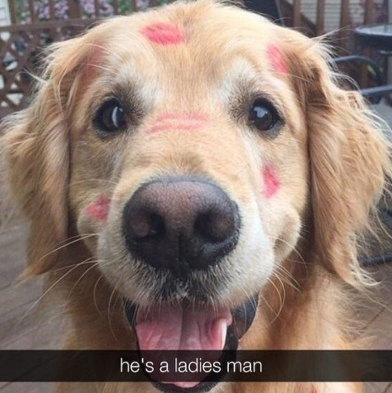 he's a ladies man
