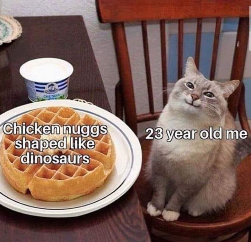 CHETANA Chicken nuggs shaped like dinosaurs 23 year old me