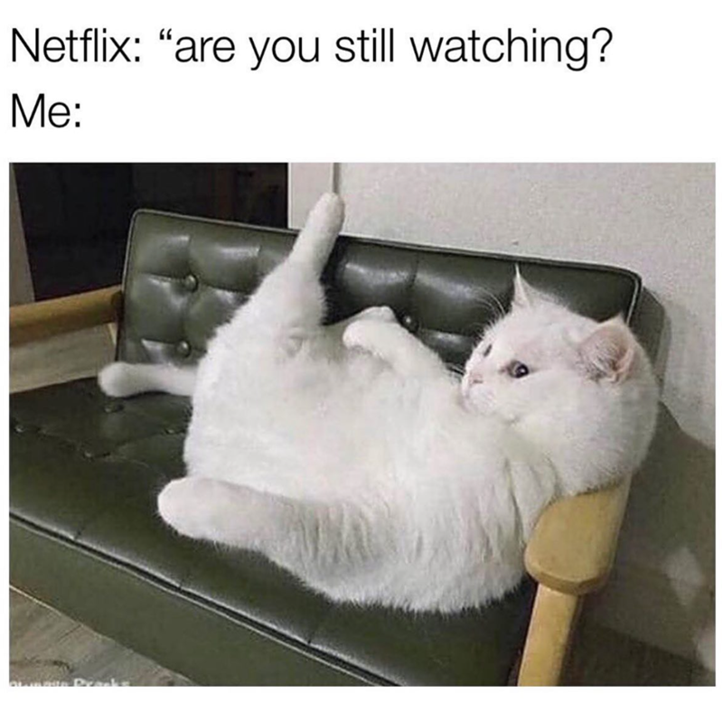 Netflix: "are you still watching? Me: