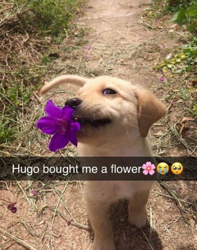 Hugo bought me a flower