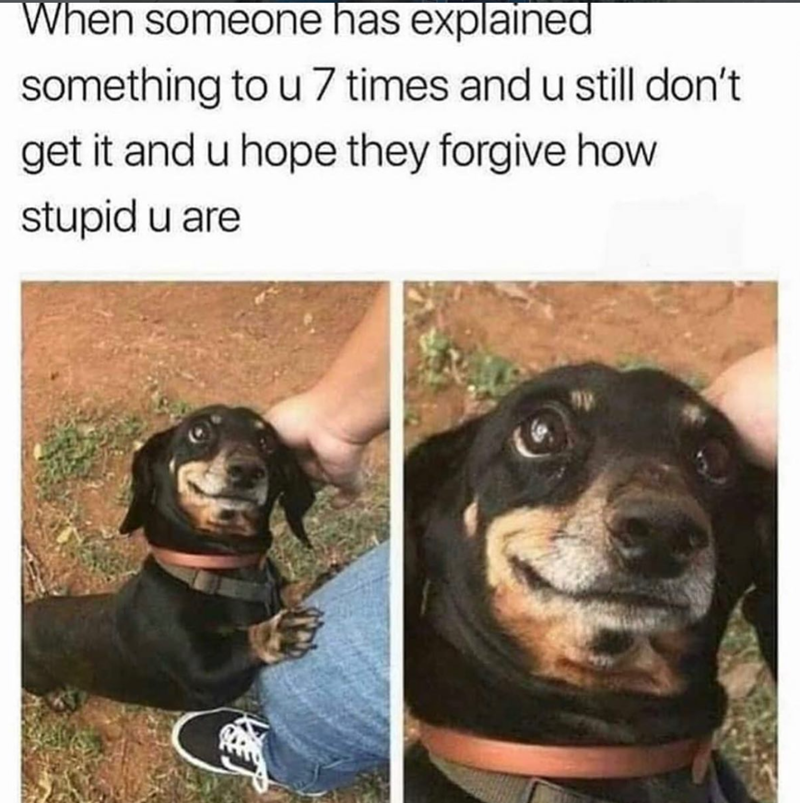 When someone has explained something to u 7 times and u still don't get it and u hope they forgive how stupid u are
