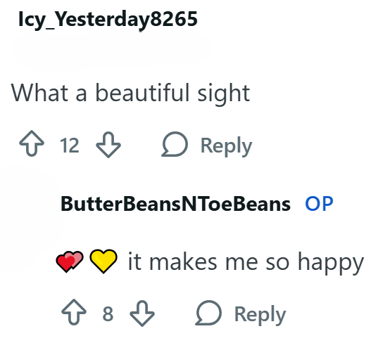 Icy_Yesterday8265 What a beautiful sight 12 Reply ButterBeansNToeBeans OP it makes me so happy ↑ 8 3 > Reply