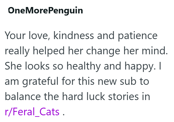 One More Penguin Your love, kindness and patience really helped her change her mind. She looks so healthy and happy. I am grateful for this new sub to balance the hard luck stories in r/Feral Cats.