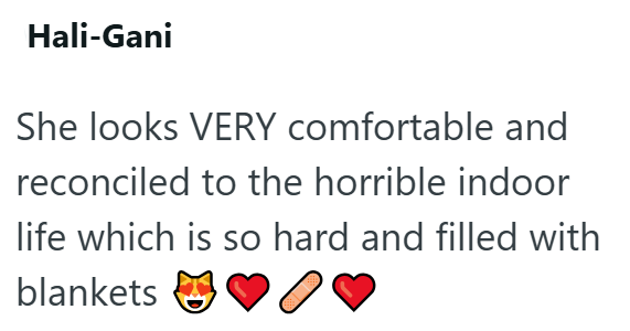 Hali-Gani She looks VERY comfortable and reconciled to the horrible indoor life which is so hard and filled with blankets