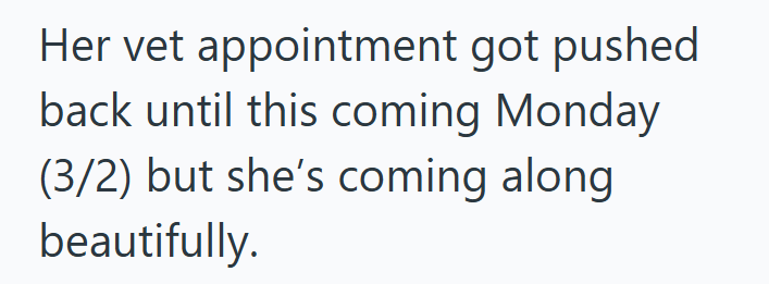 Her vet appointment got pushed back until this coming Monday (3/2) but she's coming along beautifully.