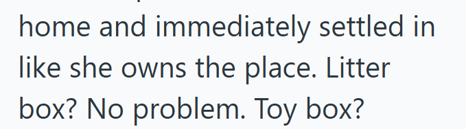 home and immediately settled in like she owns the place. Litter box? No problem. Toy box?