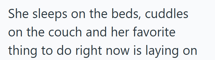 She sleeps on the beds, cuddles on the couch and her favorite thing to do right now is laying on