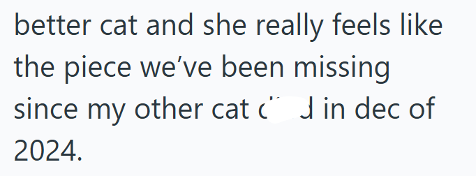 better cat and she really feels like the piece we've been missing since my other cat " J in dec of 2024.