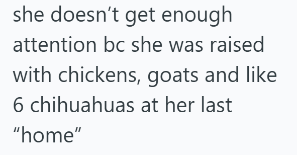 she doesn't get enough attention bc she was raised with chickens, goats and like 6 chihuahuas at her last "home"