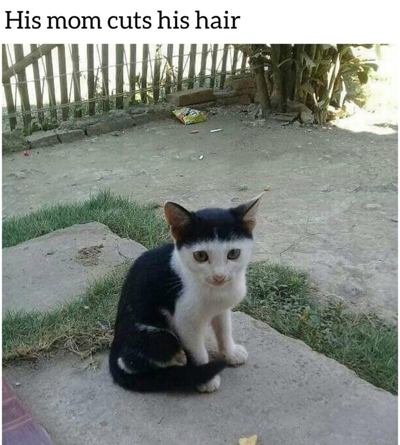 His mom cuts his hair