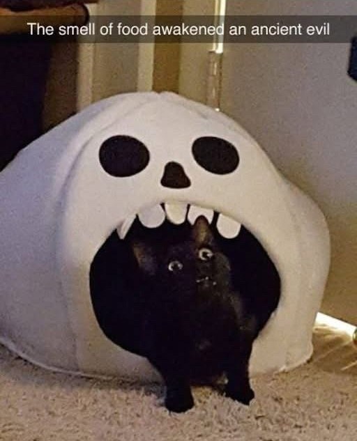 The smell of food awakened an ancient evil