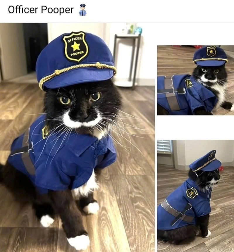 Officer Pooper OFFICER POOPER
