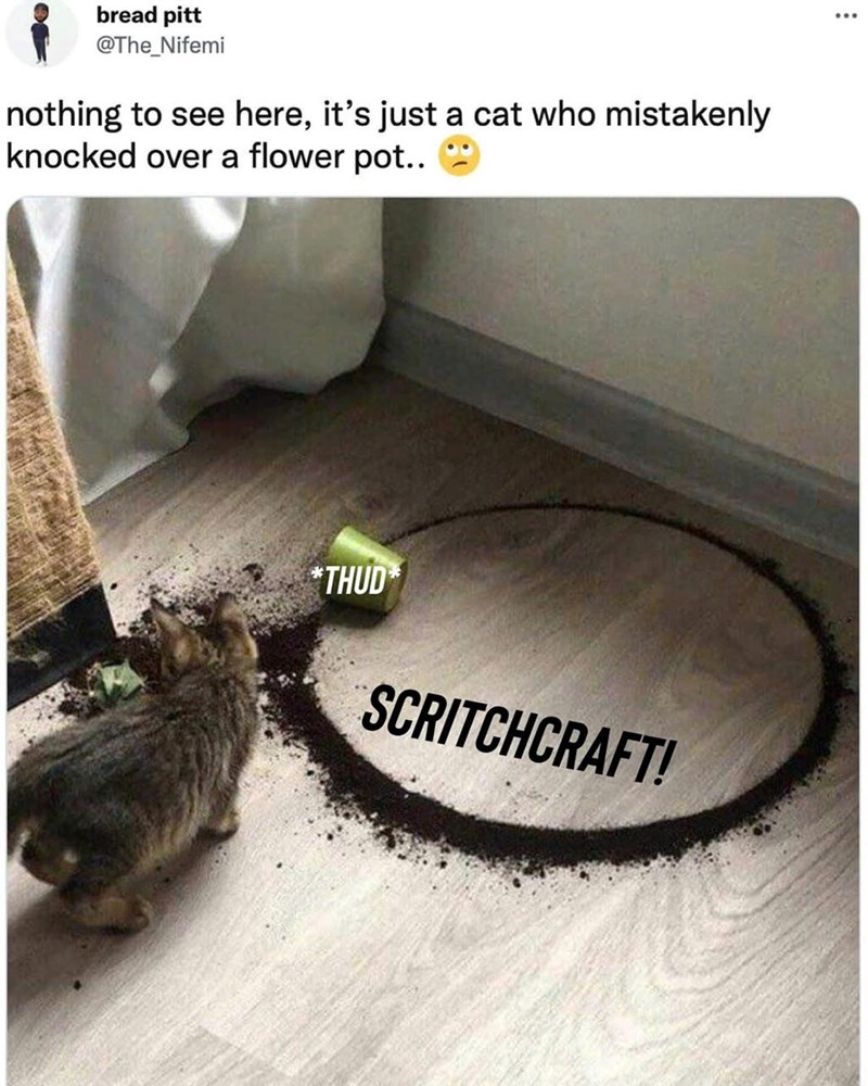 bread pitt @The_Nifemi nothing to see here, it's just a cat who mistakenly knocked over a flower pot.. *THUD SCRITCHCRAFT!