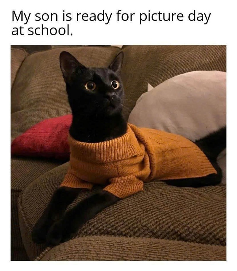 My son is ready for picture day at school.