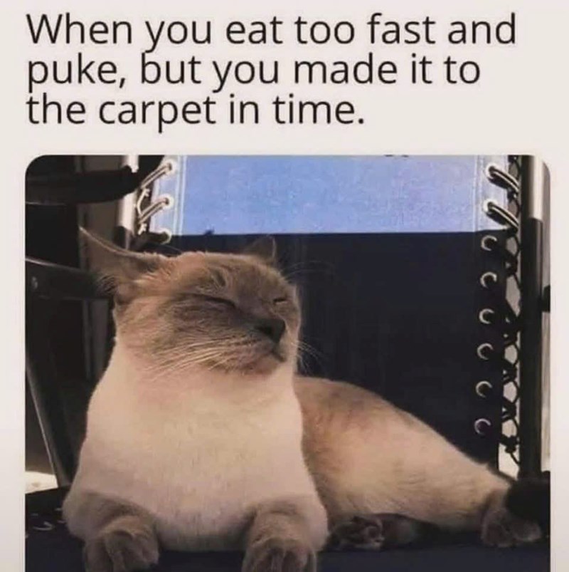 When you eat too fast and puke, but you made it to the carpet in time.