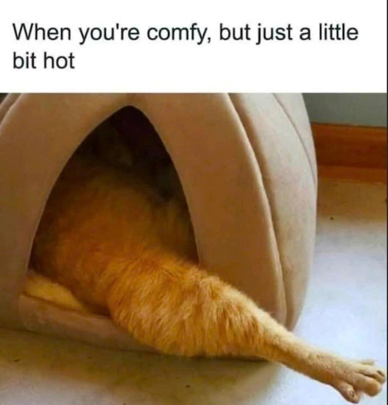 When you're comfy, but just a little bit hot