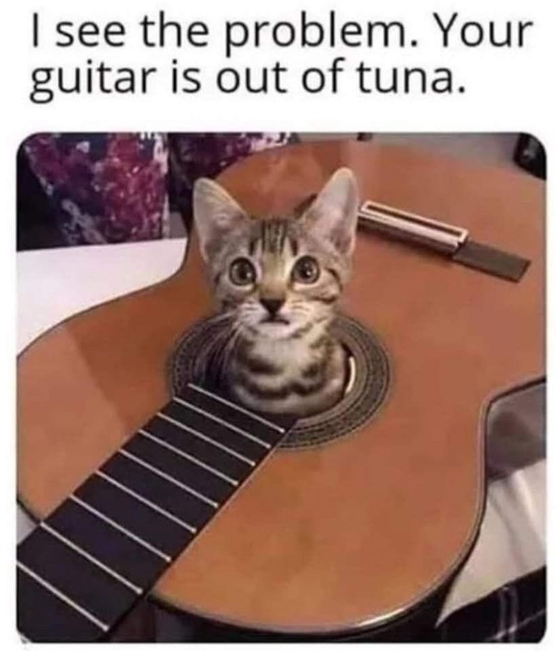 I see the problem. Your guitar is out of tuna.