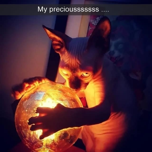 My preciousssssss....