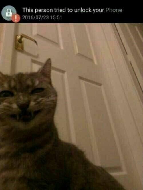 8 This person tried to unlock your Phone 2016/07/23 15:51