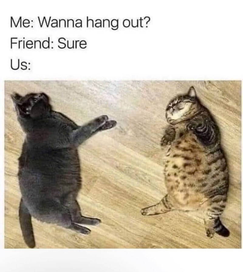 Me: Wanna hang out? Friend: Sure Us: