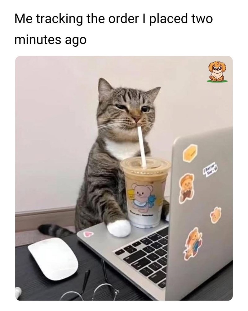 Me tracking the order I placed two minutes ago