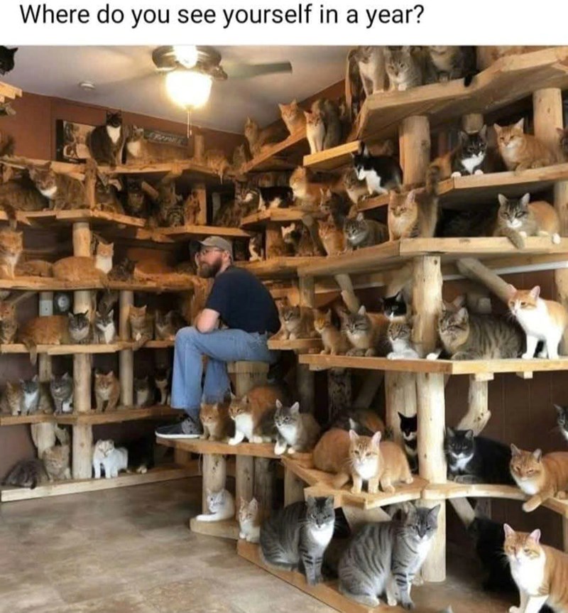 Where do you see yourself in a year?